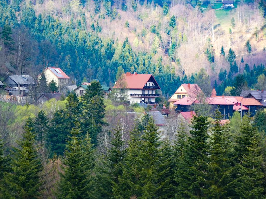 eine Gruppe von Häusern und Bäumen in einem Berg in der Unterkunft Górski Wypoczynek in Stryszawa