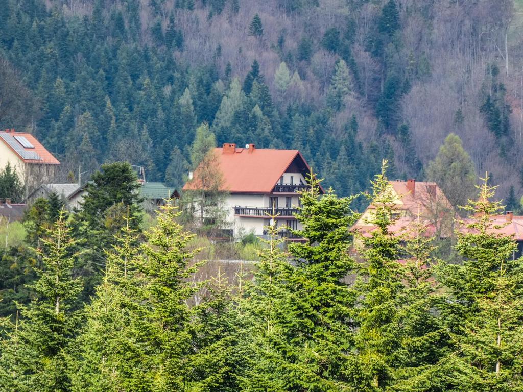 uma casa no meio de uma floresta de árvores em Górski Wypoczynek em Stryszawa