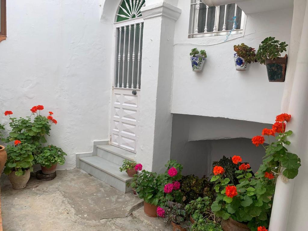een wit gebouw met bloemen en planten naast een deur bij Casa Ana in Vejer de la Frontera