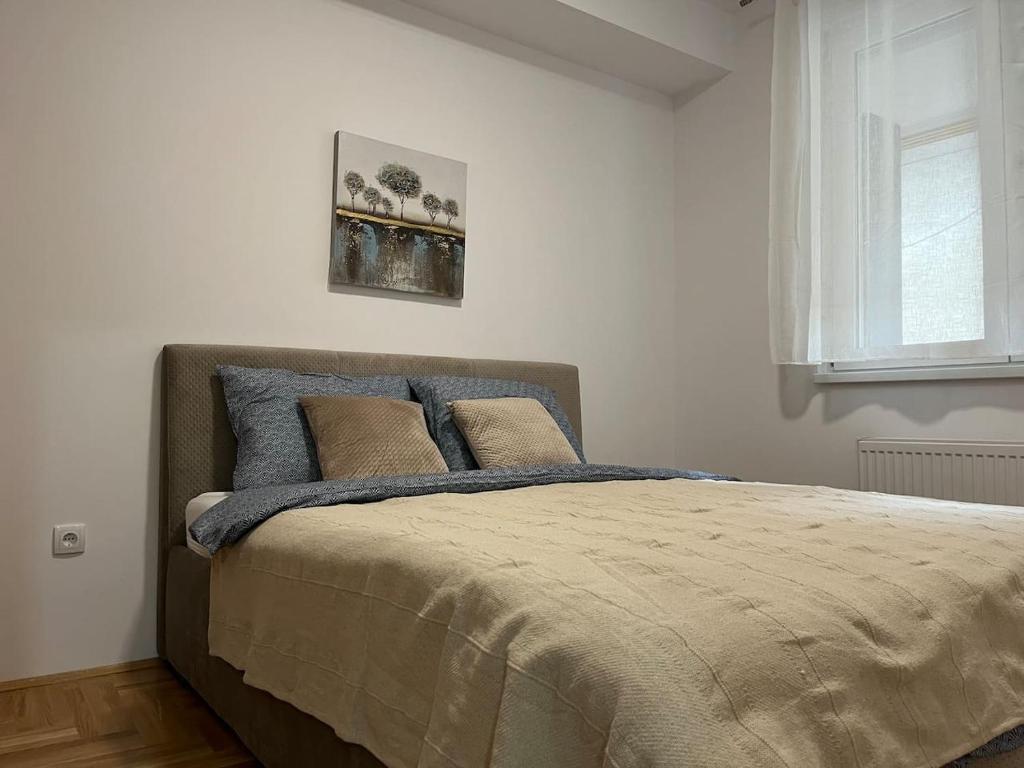 een slaapkamer met een groot bed in een witte kamer bij Tik-tak apartment in Petrovaradin