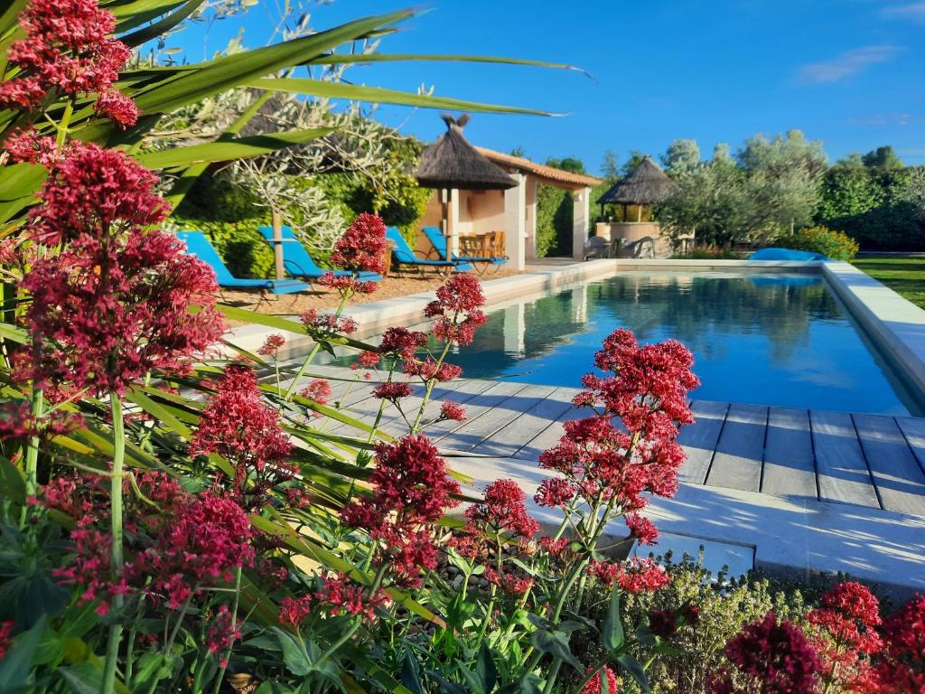 a garden with a swimming pool and red flowers at LE MAZET DES CHUTES in Graveson