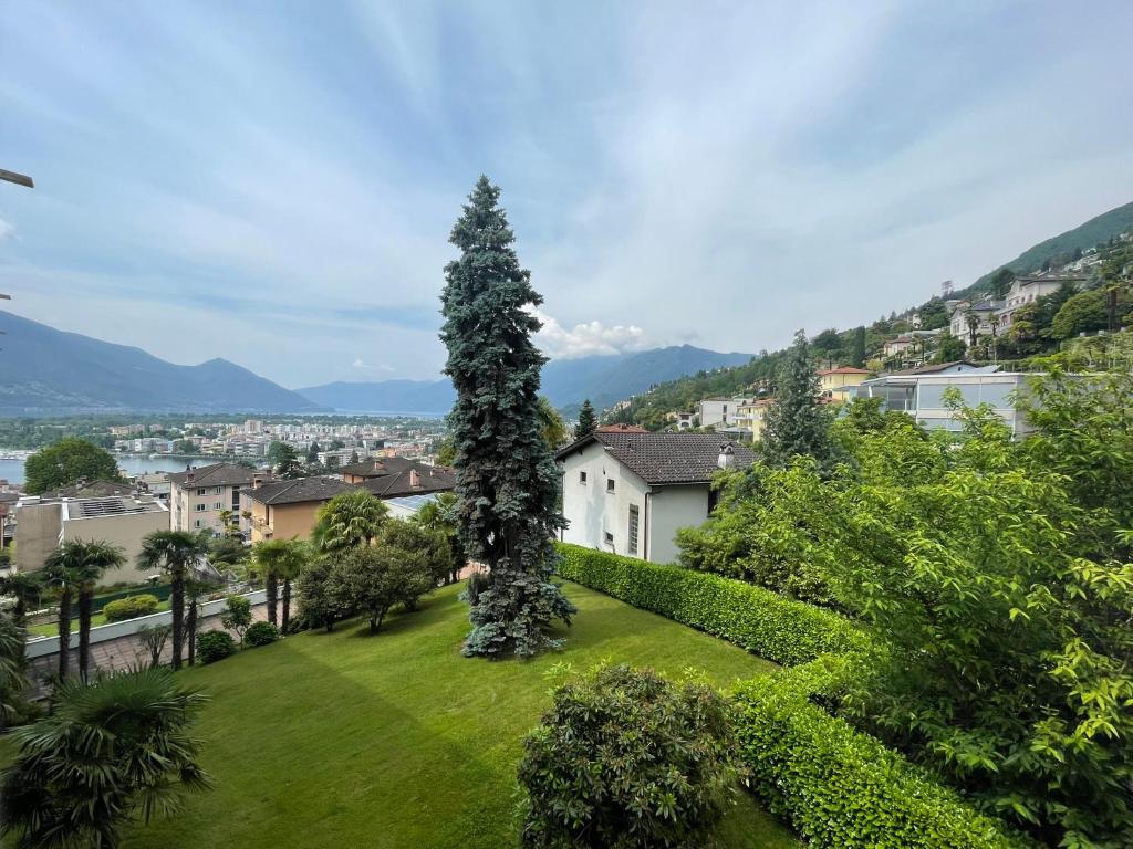 a green yard with a large tree on top of it at Muralto-Locarno: Collina Apt. 32 in Muralto