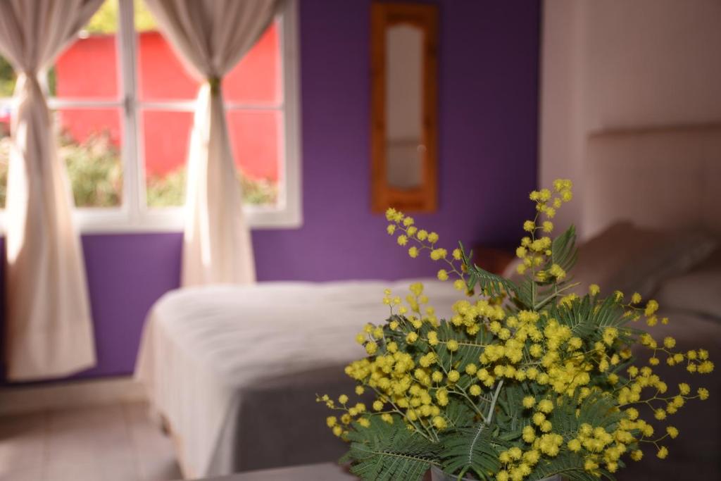 Complejo Las Pinochas