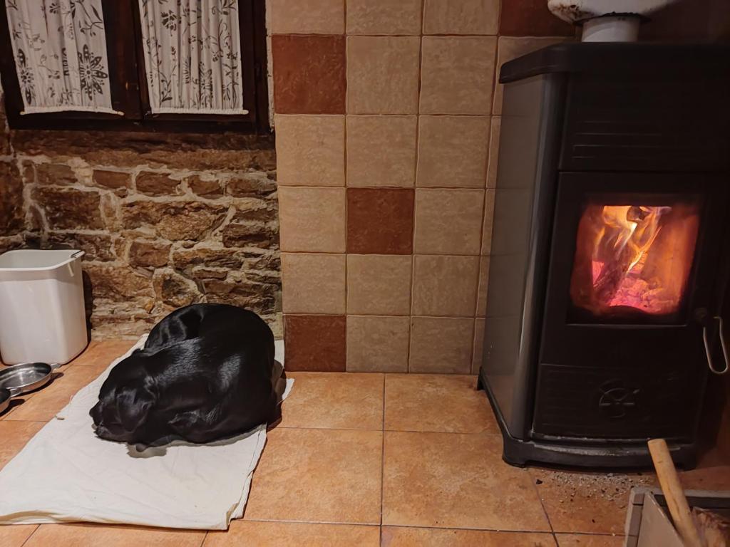 Fotografie z fotogalerie ubytování Apartman Monte Rudina v destinaci Motovun
