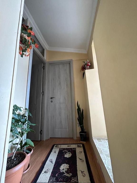 Fotografie z fotogalerie ubytování Homestay Seaside by Manuchar v destinaci Batumi