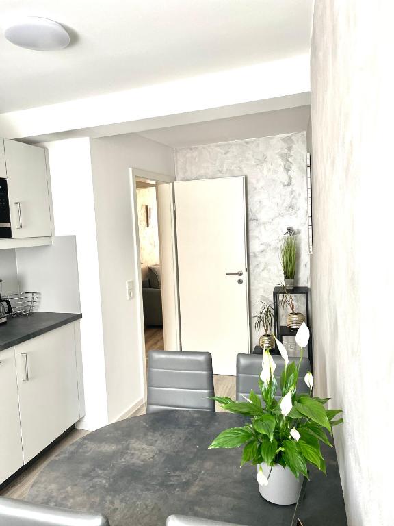 Kuchyň nebo kuchyňský kout v ubytování Ferienwohnung Appartamento Da Vinci