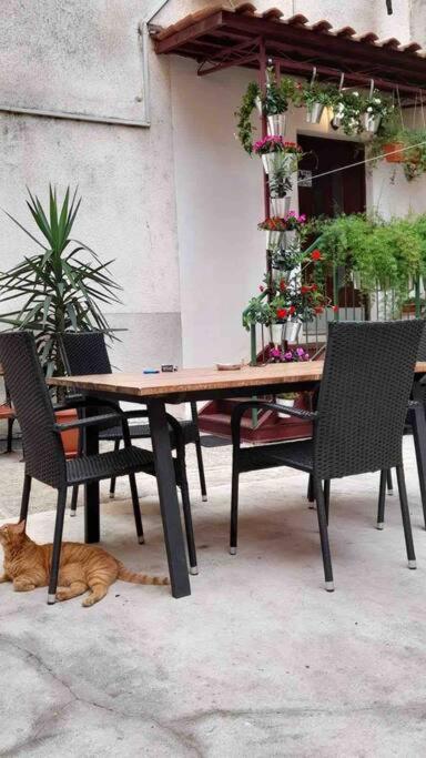Ein Tisch und Stühle, unter denen eine Katze schläft in der Unterkunft Vintage Pula in Pula