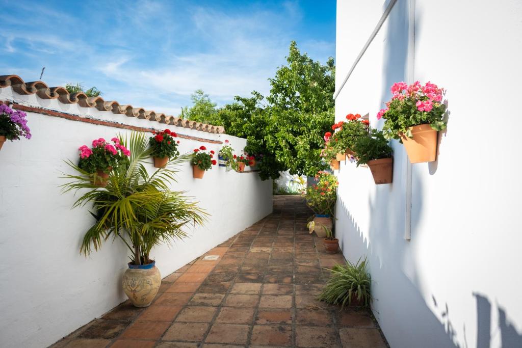 Zahrada ubytování Apartamentos Turísticos Cabo Roche
