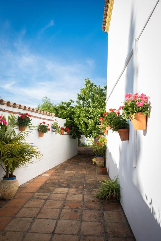 Zahrada ubytování Apartamentos Turísticos Cabo Roche