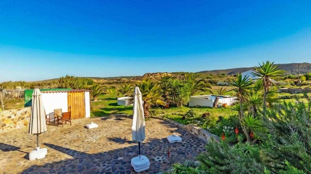 a patio with umbrellas on a beach with palm trees at Casa Presente Guesthouse in Carrapateira