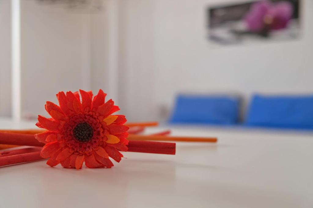 un fiore rosso su un tavolo accanto ad alcuni fiammiferi di Guest House Ancora a Pozzallo