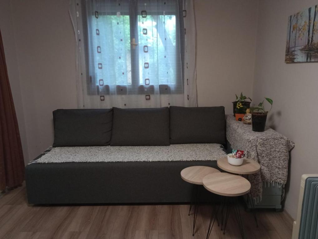 Posezení v ubytování Apartmani Dunav Apatin