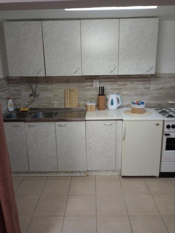 Kuchyň nebo kuchyňský kout v ubytování Apartmani Dunav Apatin