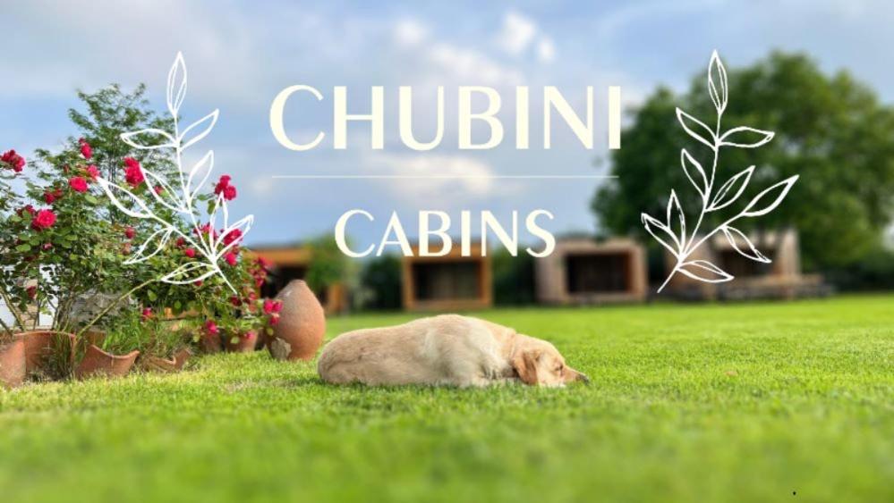 Fotografie z fotogalerie ubytování Chubini Winery & Cabins v destinaci Kvareli