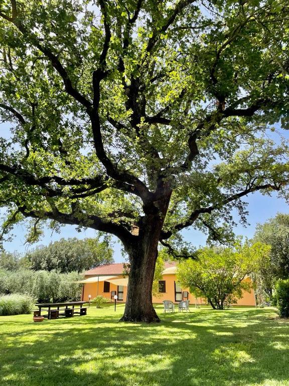 Zahrada ubytování Agriturismo I Tre Fossi