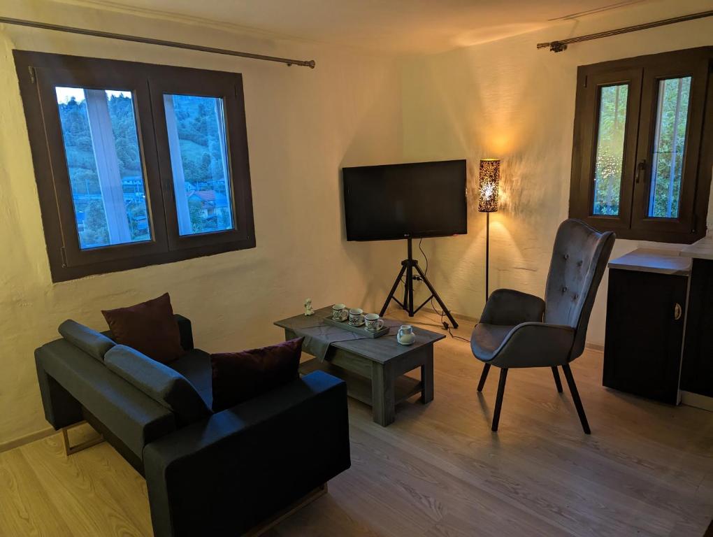 ein Wohnzimmer mit einem Sofa und einem TV in der Unterkunft Lake House Anemona in Buhalniţa