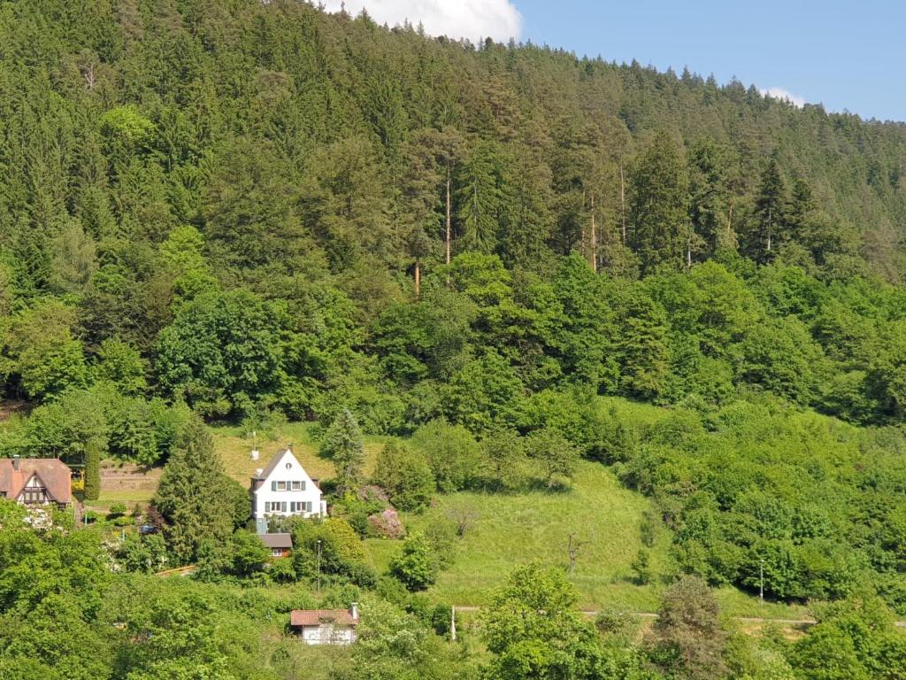 a house in the middle of a mountain at Ferienhaus Waldglück in Calw