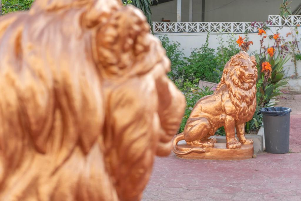 Rancho Grande - Resim 22