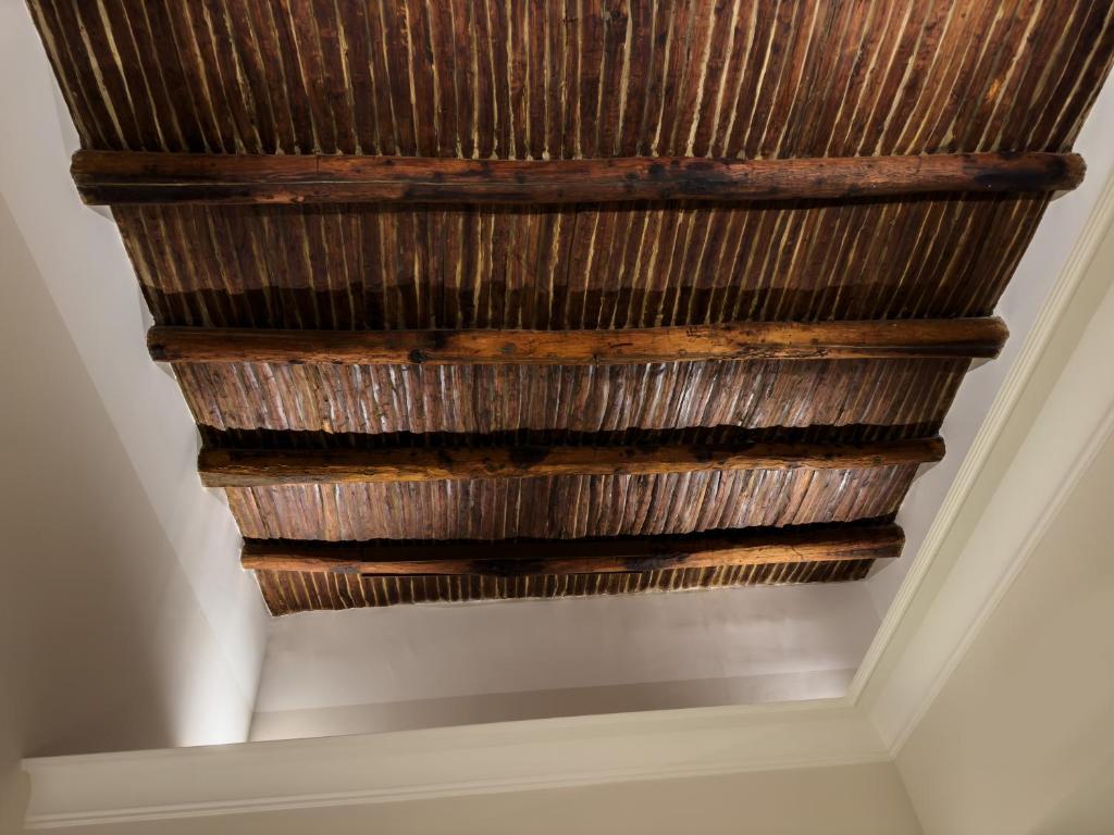 Artemisia Domus - Giardino - 14