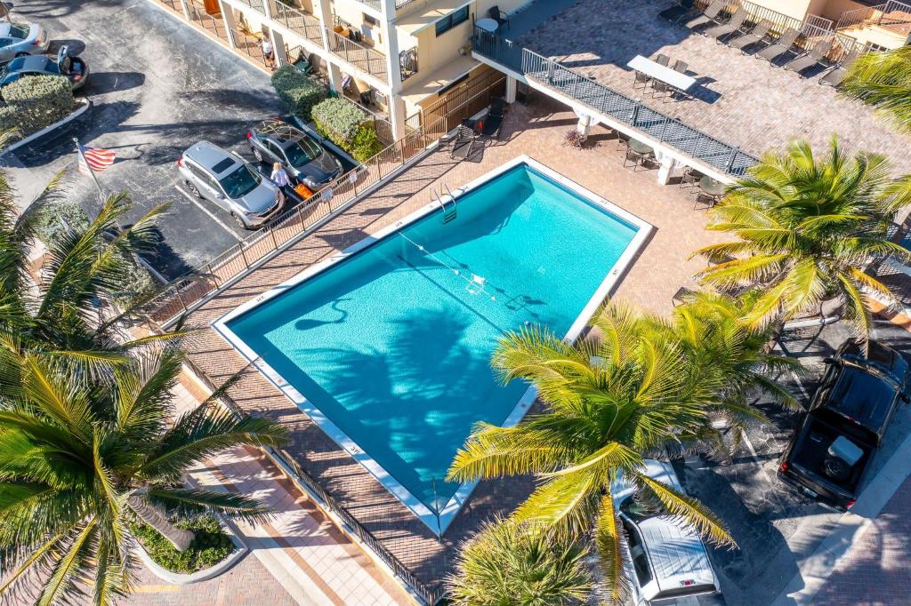 uma vista sobre uma piscina com palmeiras em 322 Cool Beach Studio em Hollywood