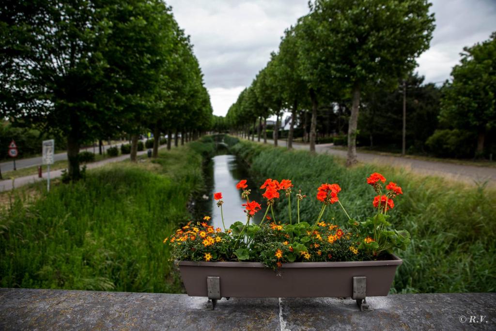 Zahrada ubytování de minnetuin