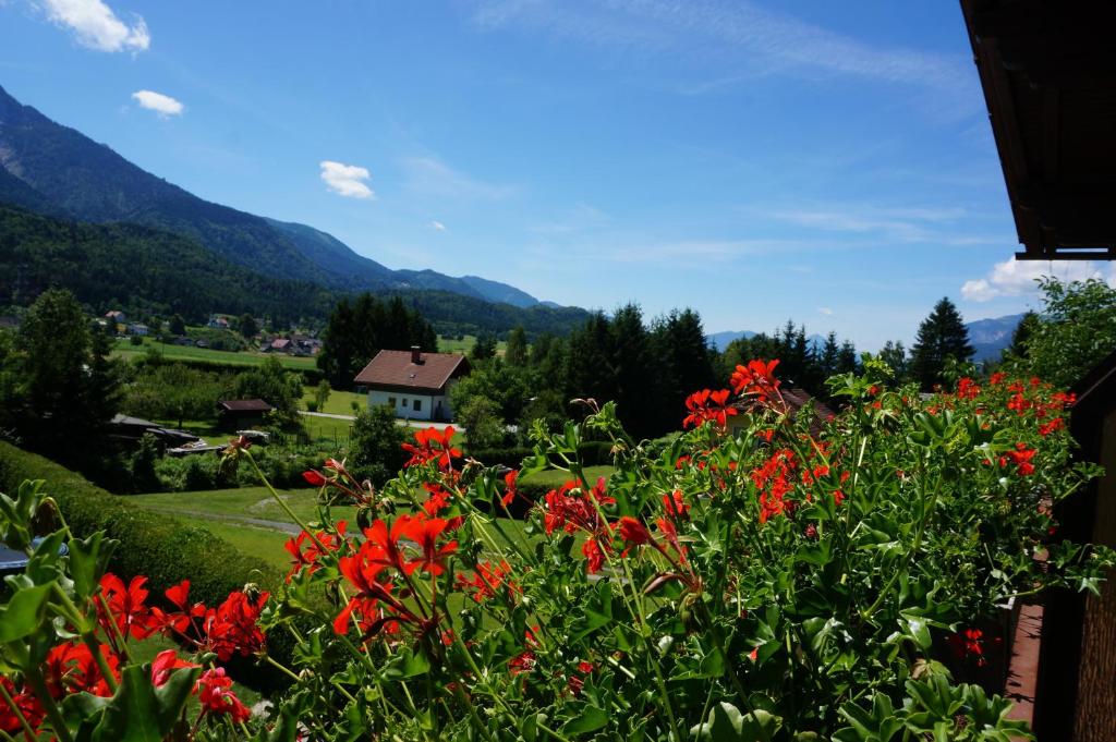 Výhľad na hory alebo výhľad na hory priamo z of the bed and breakfast