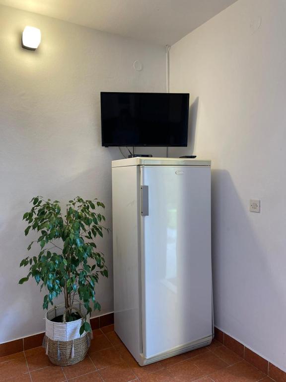 Televízia a/alebo spoločenská miestnosť v ubytovaní Apartman More