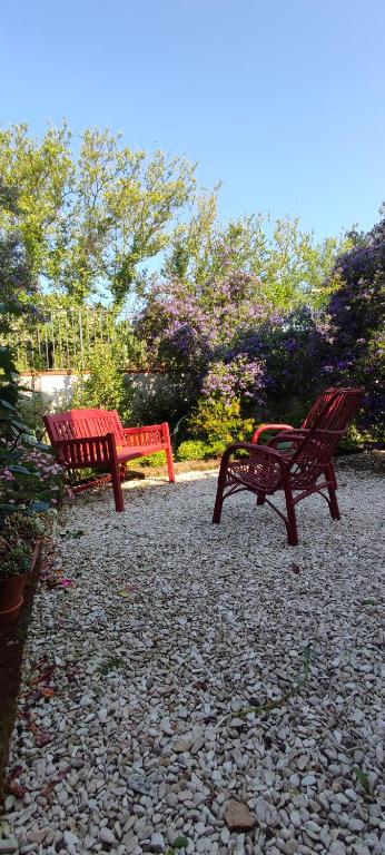 Zahrada ubytování B&B L'Assiolo