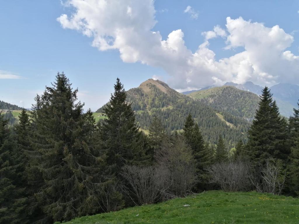 Příroda nedaleko apartmánu
