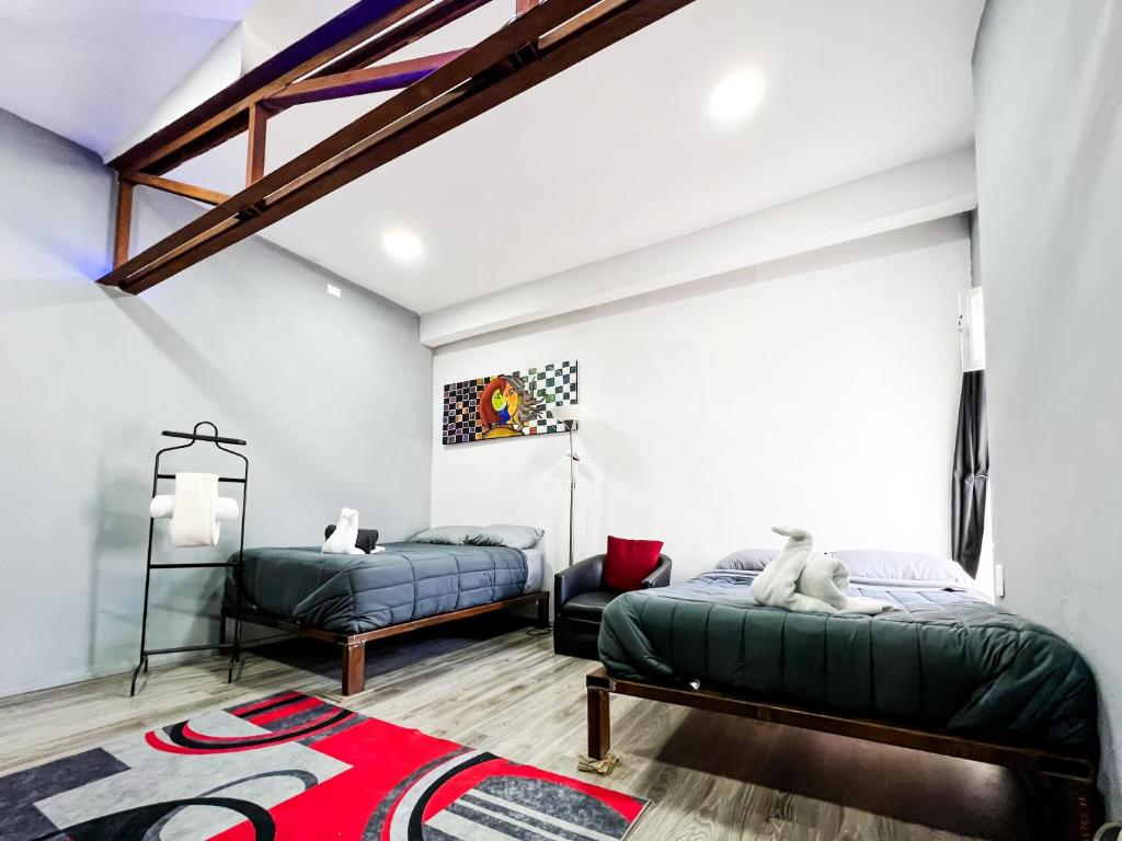 een slaapkamer met 2 bedden en een tapijt bij Lovely Loft 10 min from downtown - free parking in San Luis Potosí