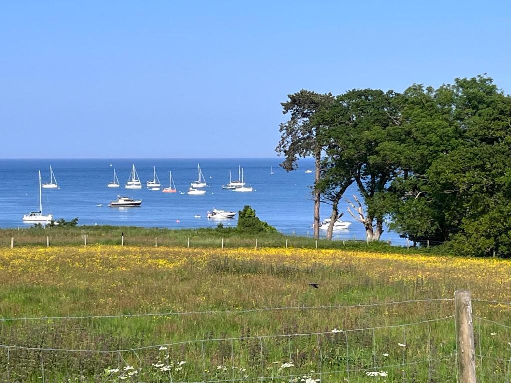 a field with a fence and boats in the water at Studland View Cottage in Studland