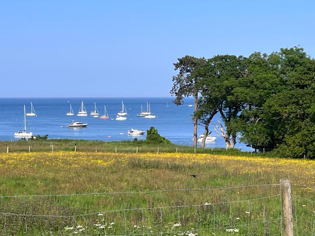 Studland View Cottage, Studland (updated prices 2025)