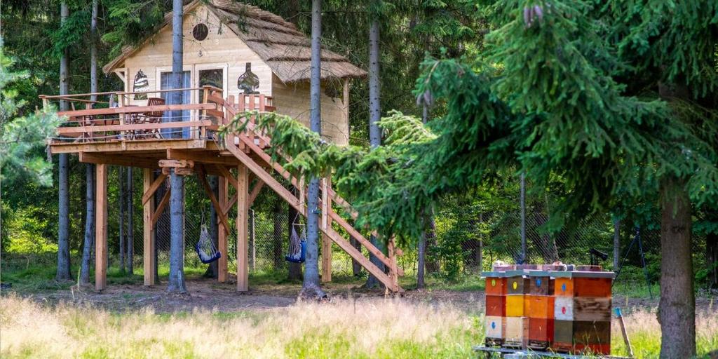 uma casa na árvore no meio de uma floresta em Treehouse U lesa em Osečná