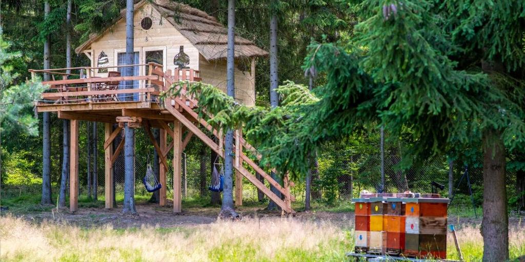 Zahrada ubytování Treehouse U lesa