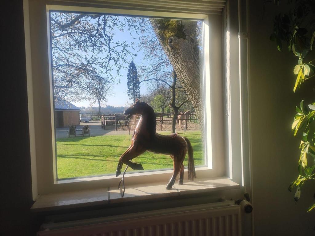 Dieren bij de bed & breakfast of in de buurt