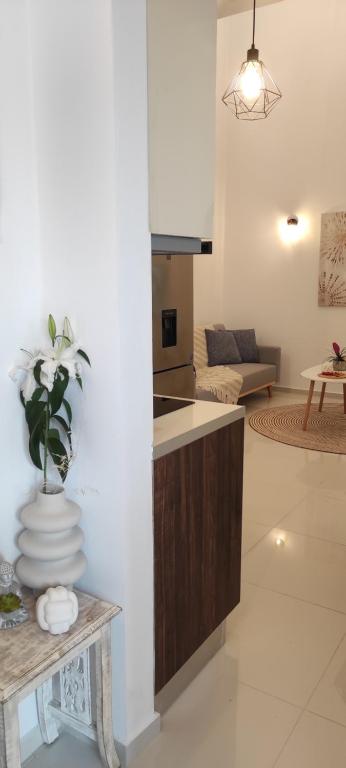EZITH LUXURY APARTMENTSにあるキッチンまたは簡易キッチン