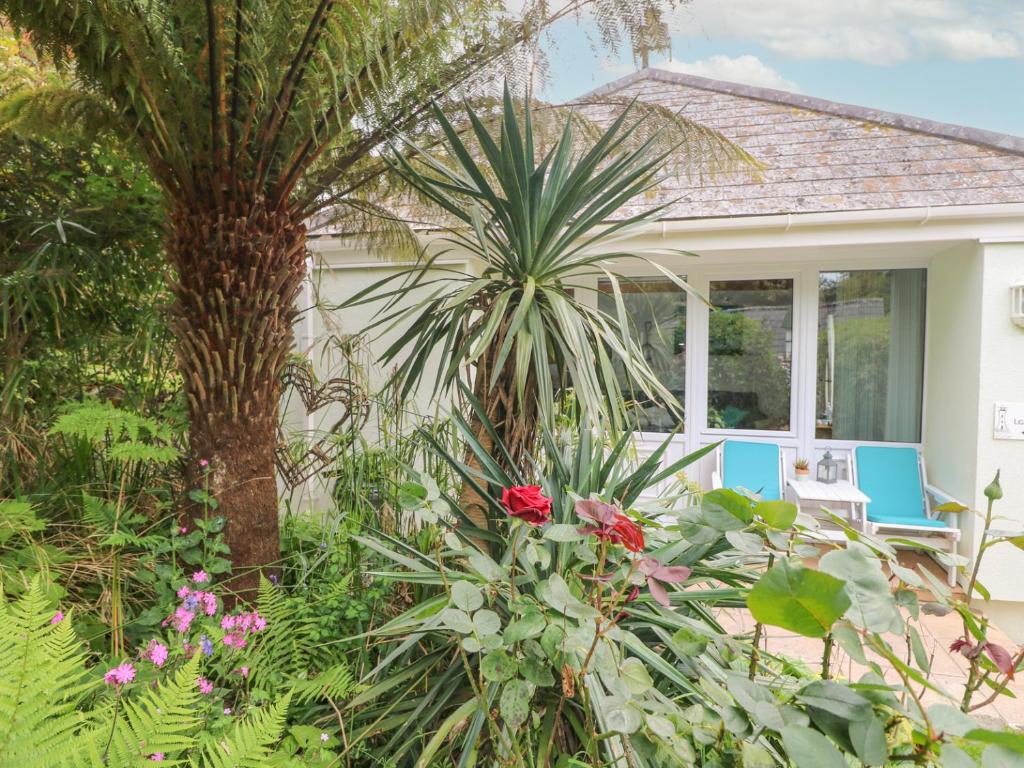 a garden in front of a house with a palm tree at Lighthouse in Penzance