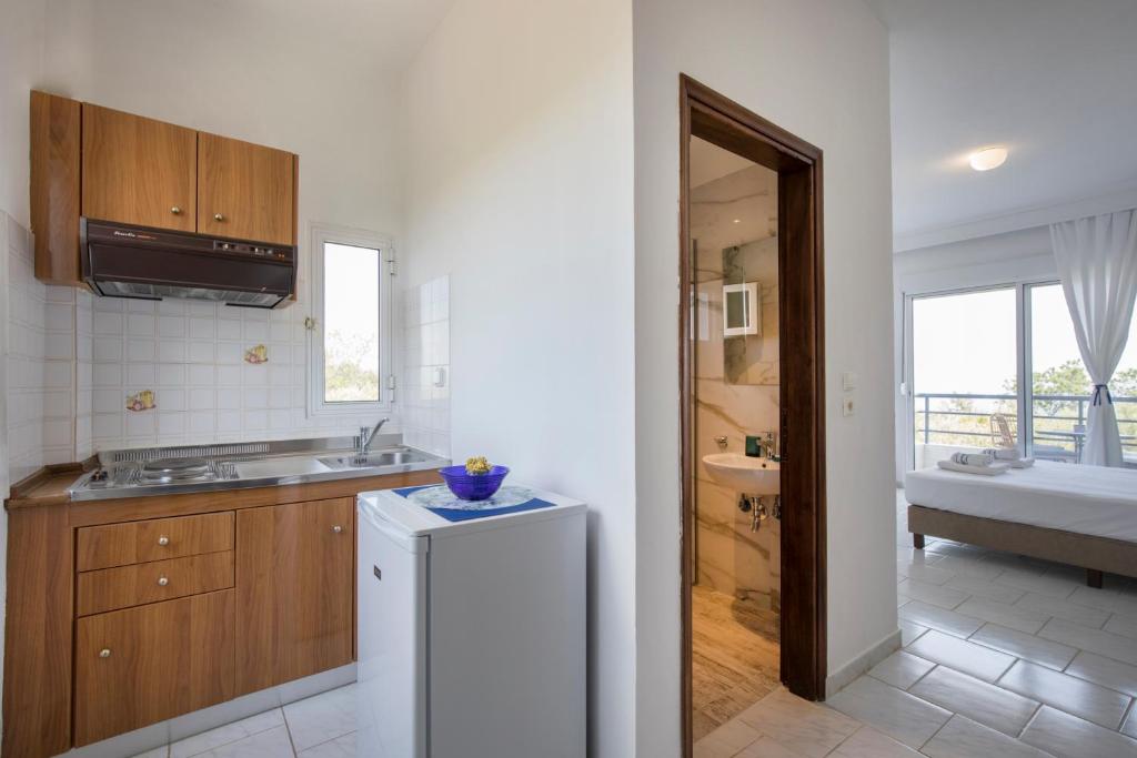 Kuchyň nebo kuchyňský kout v ubytování Kahlenberg apartments