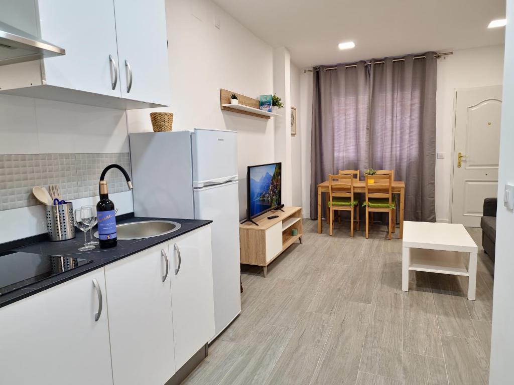 Kuchyň nebo kuchyňský kout v ubytování Apartamentos Bielsa 'Madrid Río'