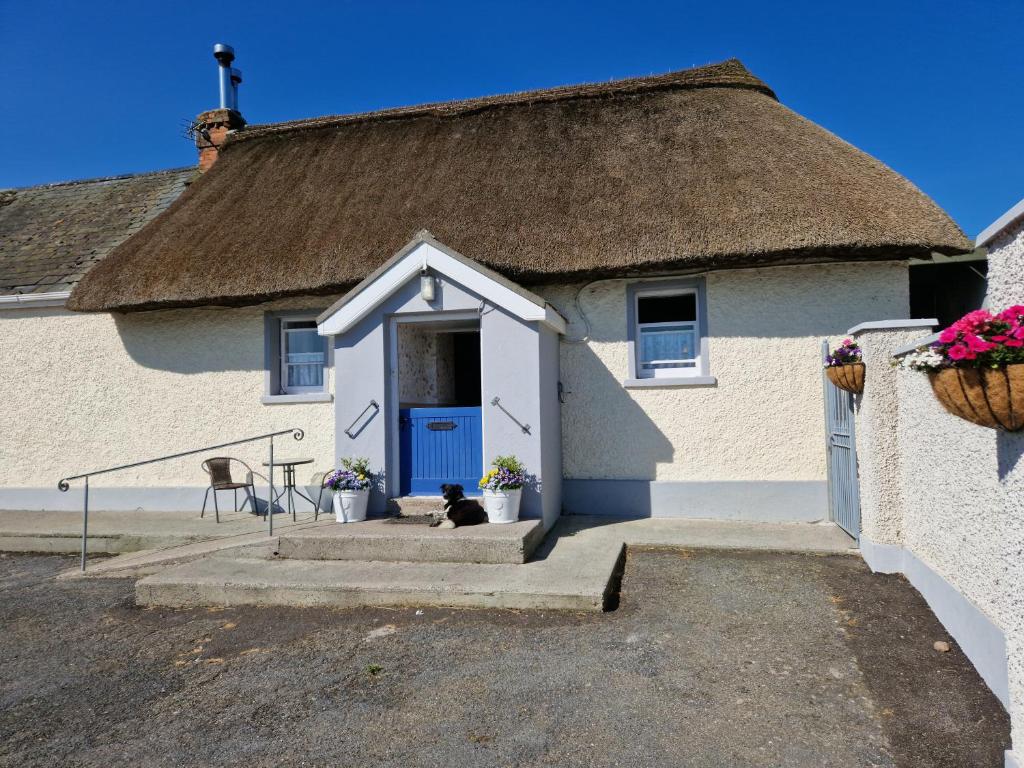 a dog sitting in front of a house with a thatch roof at Suir Valley Cottage. 