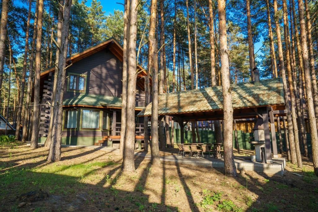 una cabaña de madera en el bosque con árboles en Dacha 9 en Voropayev