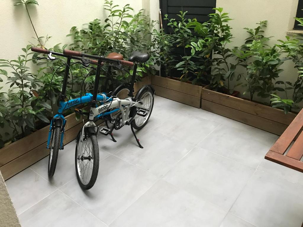 Marquês d'Aveiro Suite - 17