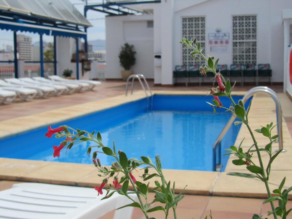 Hotel Mareny Benidorm, Benidorm – Precios actualizados 2023