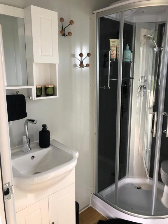 a bathroom with a shower and a sink at Adorable little container house in Hastings