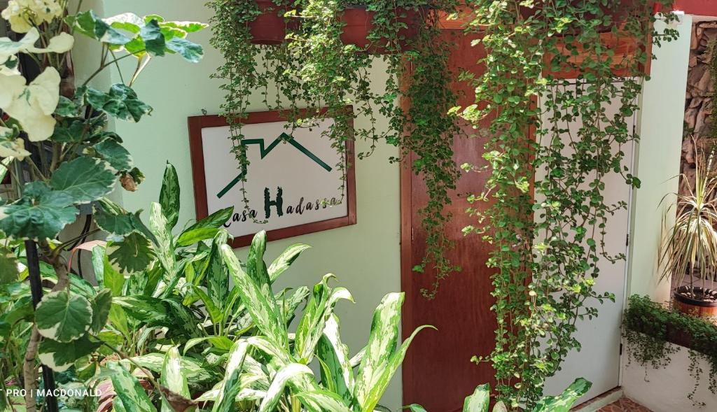 Zahrada ubytování Casa Hadassa La Cañada