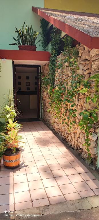 Fotografie z fotogalerie ubytování Casa Hadassa La Cañada v destinaci Palenque