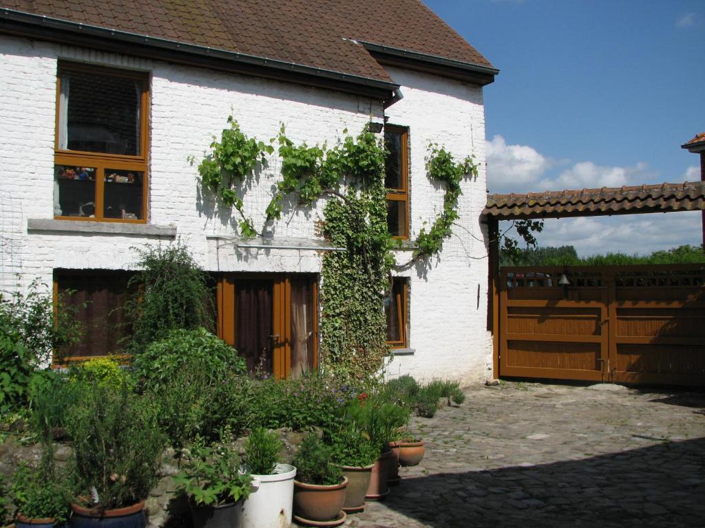 une maison blanche avec du lierre sur son côté dans l'établissement Huis van Rooi, à Sint-Agatha-Rode