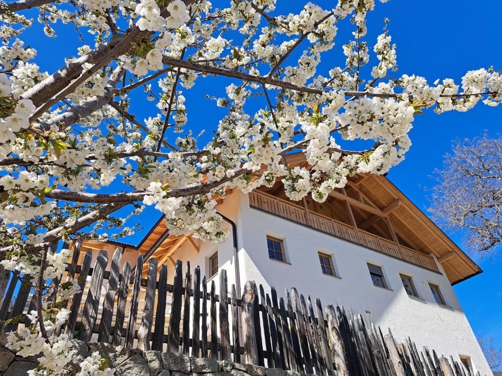 a building behind a fence with white blossoms at Pignathof Castanea in Campodazzo