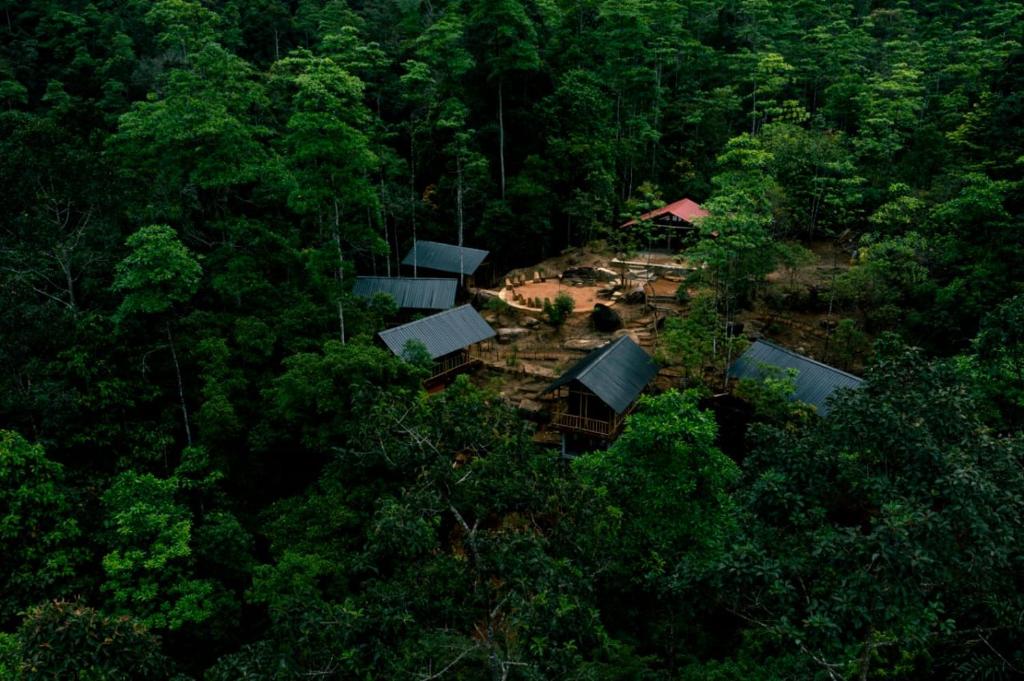 an overhead view of a house in the forest at Watersmeet Glamping in Deraniyagala