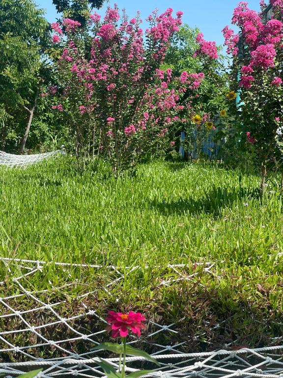 a field of grass with a fence and pink flowers at Suối Đá F-Glamping 2026 in Thiện Giáo